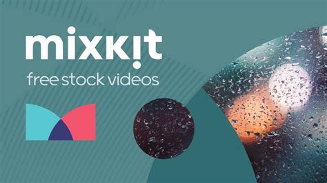 mixkit free video download|Mixkit